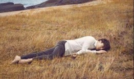 亚洲国产青草视频,探寻东方田园风情